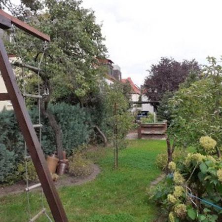 Gemutliche Zentrumsnahe Ferienwohnungen Mit Gemeinschaftsgarten Wittenberg Buitenkant foto