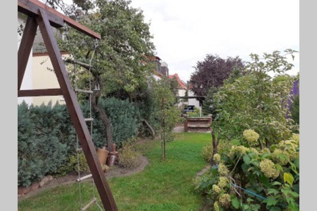 Gemutliche Zentrumsnahe Ferienwohnungen Mit Gemeinschaftsgarten Wittenberg Buitenkant foto