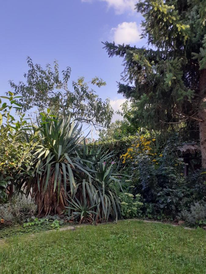 Gemutliche Zentrumsnahe Ferienwohnungen Mit Gemeinschaftsgarten Wittenberg Buitenkant foto